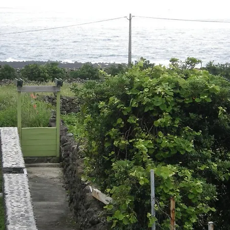 Konukevi Alojamentos Flores Island