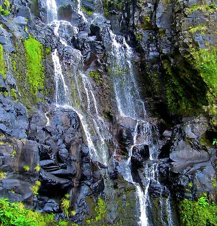 Alojamentos Flores Island