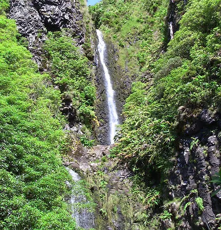 Konukevi Alojamentos Flores Island 4*
