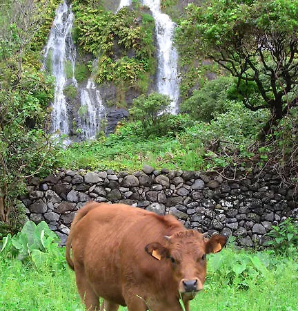 Konukevi Alojamentos Flores Island