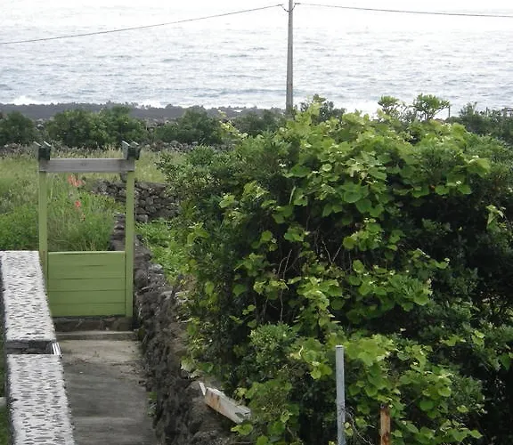 Guest house Alojamentos Flores Island