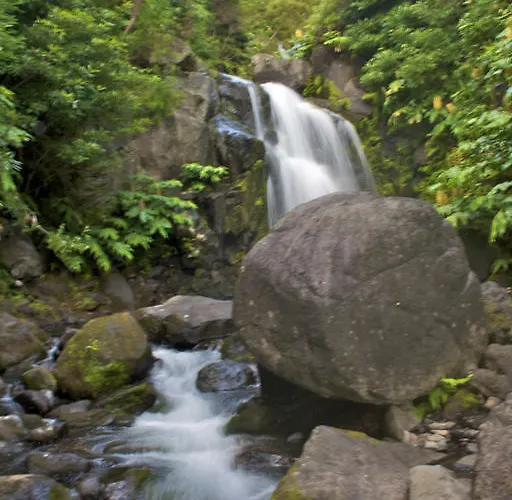 Πανσιόν Alojamentos Flores Island Faja Grande