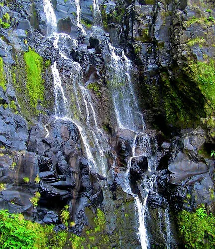 Alojamentos Flores Island