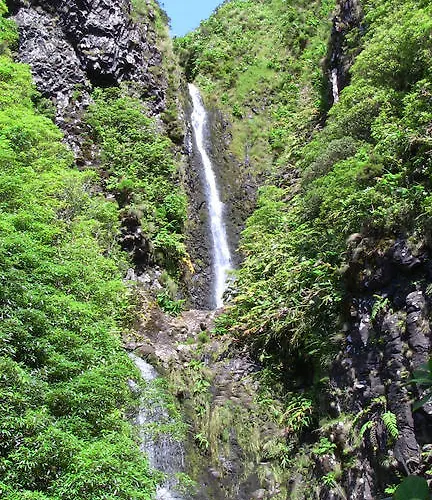 Guest house Alojamentos Flores Island 4*